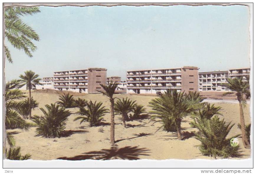 ALG.158/ OUARGLA - Cité Sélis - cpsm N° 19