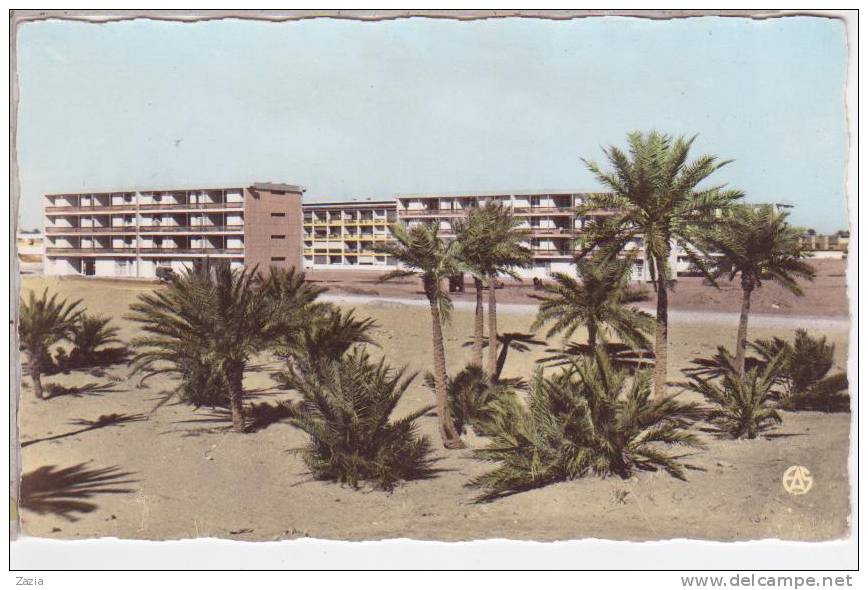 ALG.157/ OUARGLA - Cité Sélis - cpsm N° 18