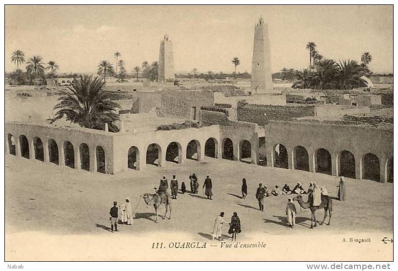 NK-DV 084-Algérie-Ouargla-Vue d'ensemble-Animation Chameau-