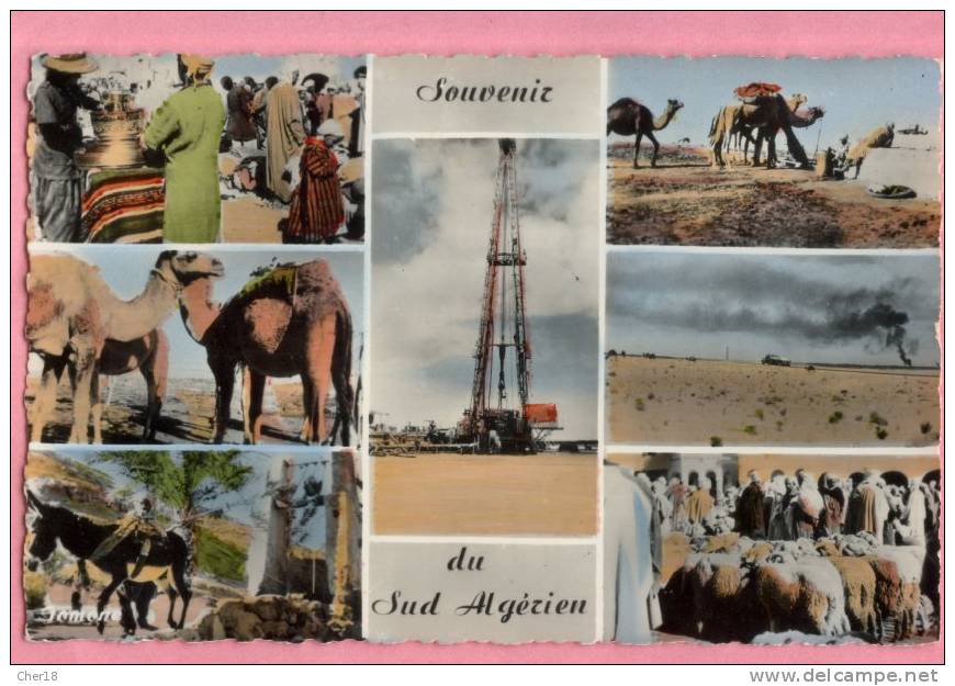 Souvenir du sud Algérien Ouargla