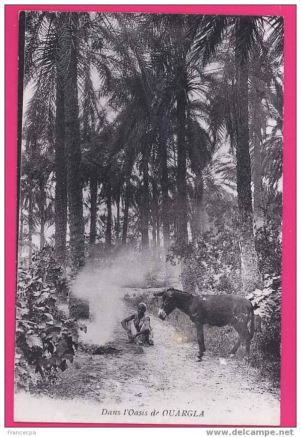 ALGERIE  1223    Dans l'Oasis de OUARGLA
