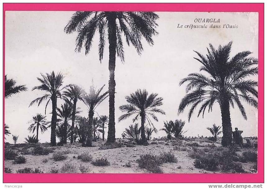 ALGERIE  1222    OUARGLA  Le crépuscule dans l'Oasis