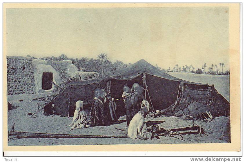 CPA de Ouargla ( Algérie ). Fabrication des bandes de Tentes