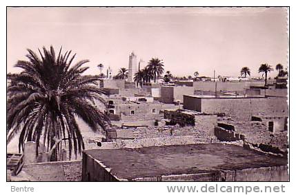 ALGERIE - Ouargla - Terrasses indigènes
