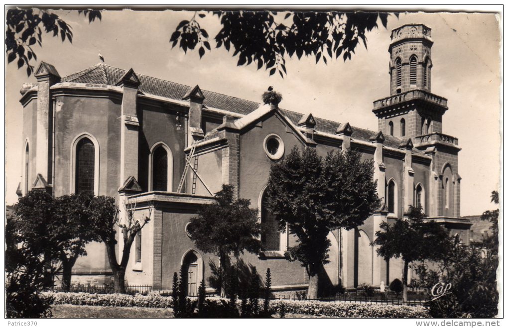 ALGERIE SAIDA - L'église