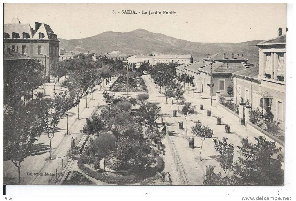 ALGERIE - SAIDA - Le Jardin Public