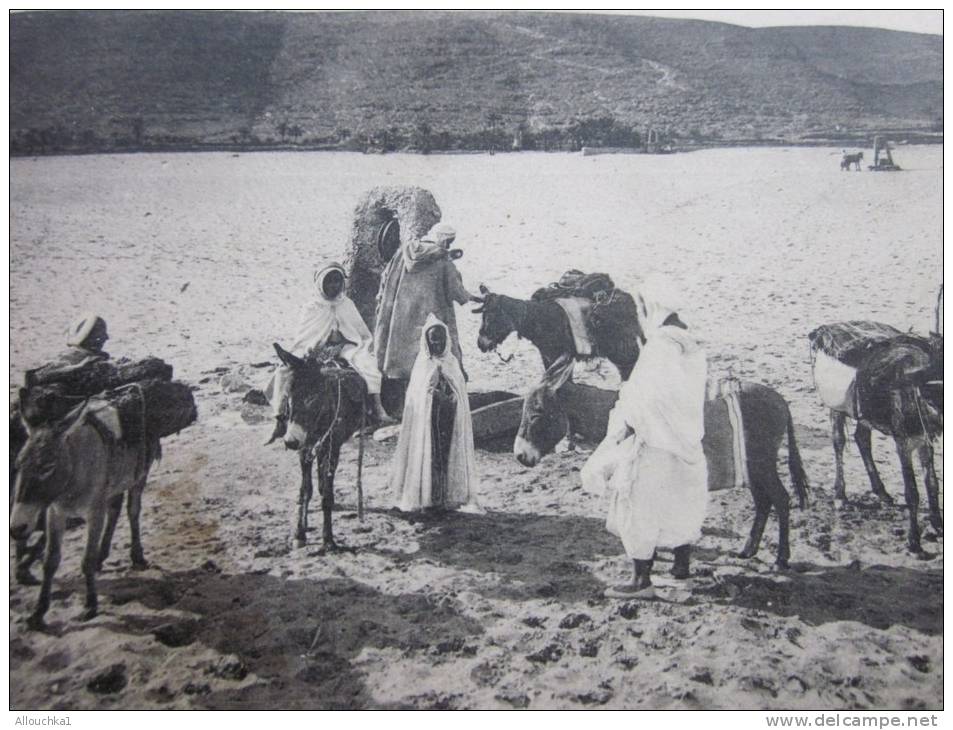 1915 CPASahara algérien >dans l´OUED Anes et Bédouins arabes à Saïda > coll idéale photo > Algérie ex colonie française