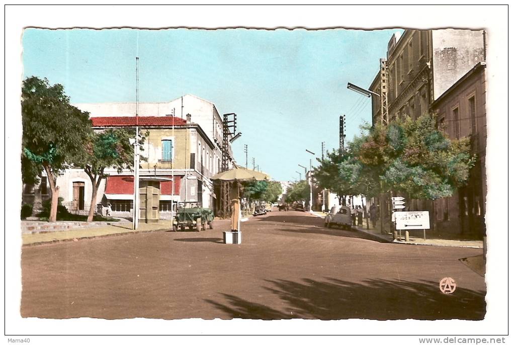 ALGERIE - SAIDA - Avenue Foch - Voiture militaire