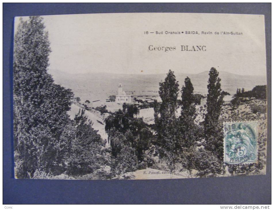 CPA Sud Oranais - Saïda (Algérie) - Ravin de l'Aïn-Sultan