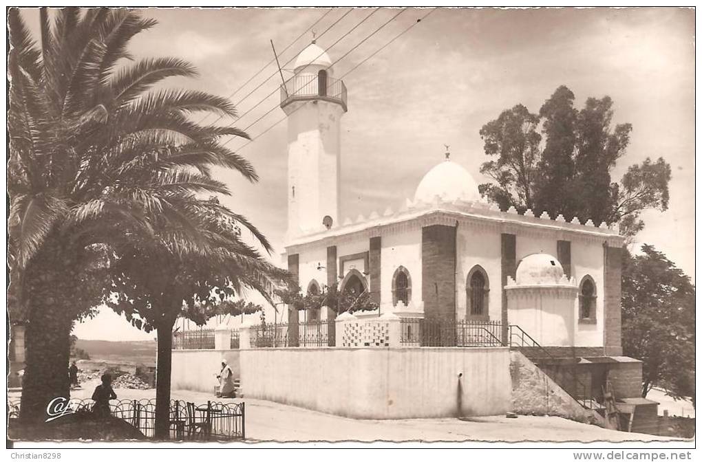 SAIDA (ALGERIE) La Mosquée    CPSM