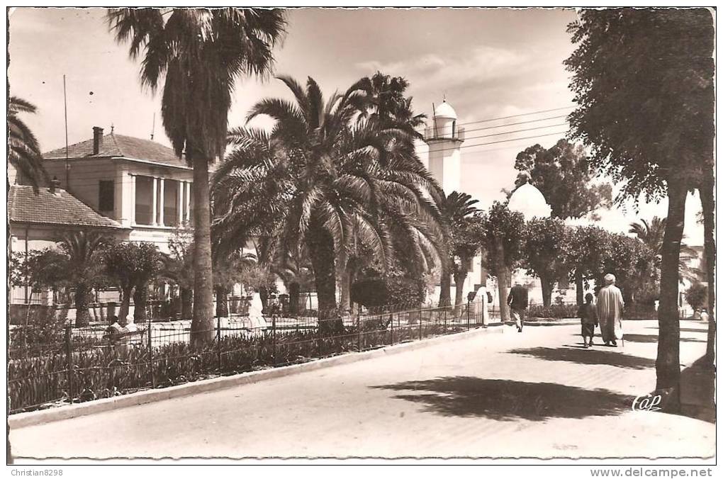 SAIDA (ALGERIE) La Commune Mixte    CPSM