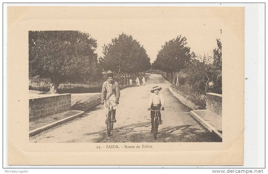 ALGERIE )) SAIDA   Route de Tiffrit    N° 29  edit Motz
