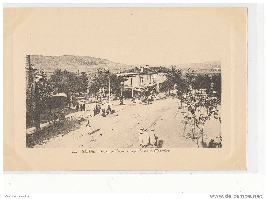 ALGERIE )) SAIDA   Avenue Gambetta    N° 24 edit Motz