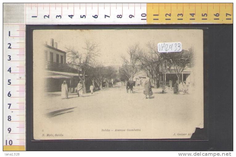 VA2433     ALGERIA    SAIDA  AVENUE  GAMBETTA  ASINI  COSTUMI   FOLKLORISTICI FOLCLORISTICI