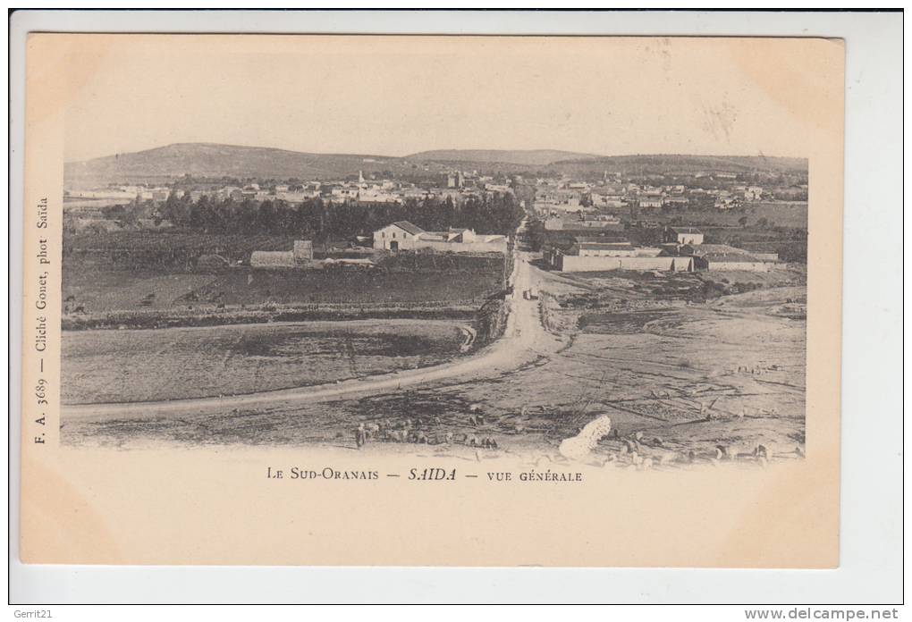 DZ - ALGERIEN, SAIDA Vue generale