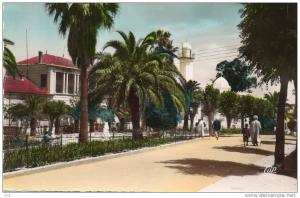 Algérie  - SAIDA - La Commune mixte (animation)   *PRIX FIXE