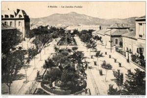CPA SAIDA. le jardin public.