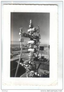 CPM  HASSI MESSAOUD, ARBRE DE NOEL