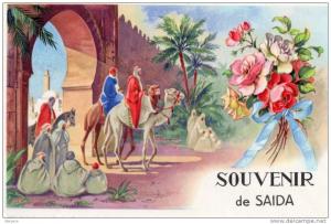 CP SAIDA. souvenir de saida. chameaux, fleurs, porte.