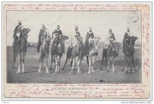 cpa Algerie Extreme Sud Oranais Méhariste Saharien Obliteration Saida pour Asnieres 1903  type Mouchon