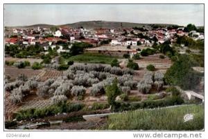 Saida   Achat Immédiat