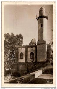 ALGERIE SAIDA La Mosquée