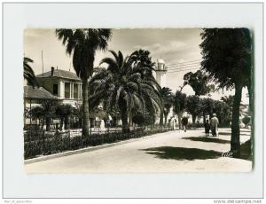 200 )  SAIDA. La Commune Mixte  . (2 Scans) .Année 19** . Édit./Phot *  .Exp/Dest *