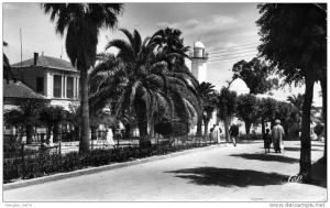 SAIDA...LA COMMUNE MIXTE....CPSM  PETIT FORMAT ANIMEE