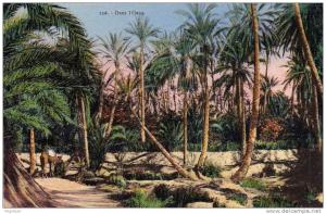 Saida    Dans I Oasis