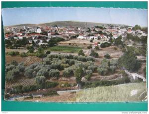 C.P.M. ALGERIE - SAIDA - Vue générale