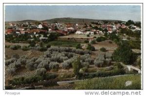 Sud Oranais - SAIDA -  Vue générale couleur