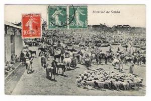 ALGERIE  /  SAÏDA  /  MARCHE  DE  SAÏDA   (  très  belle  animation  ! )