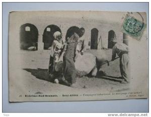 Beni Abbes Extreme Sud Oranais Compagnie Saharienne le marquage d un mehari .Voy. Saida
