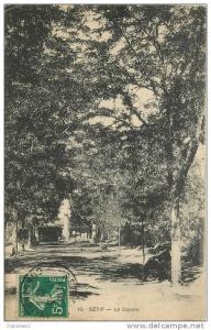 CPA / ALGERIE  -  SETIF - LE SQUARE