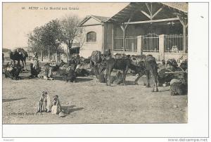 Setif 40 Le marché aux grains coll. ideale PS