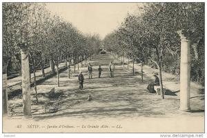 Setif    43 Jardin d' orleans La grande allée LL ecrite 1913