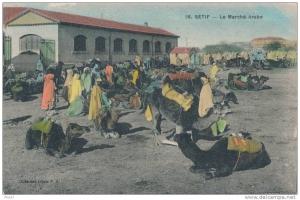 SETIF -  Le Marché Arabe - Dromadaires