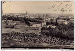 PORT GRATUIT    7700   SETIF 1907  OBLITERE  VERSO