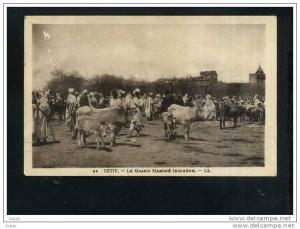 Setif le Grand Marche Indigene