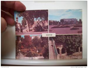 CPM - SETIF - MULTIVUES 4 VUES / MULTIVIEW 4 VIEWS (EDITIOR R.E.A.R. TLEMCEN)
