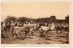 le grand marche indigene