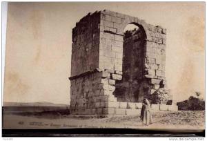 SETIF     PLUS       PORT  CH  OU  PAYPAL  AVEC LEURS  FRAIS