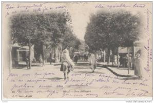 Sétif, rue Sillègue, ( variante de cliché pour Geiser 22 )  ( port offert, free postage )