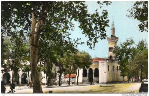 Algérie > SETIF - Jolie vue sur la Mosquée   * PRIX FIXE