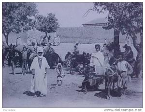 cpa Algérie SETIF animée MARCHE AUX BOURRIQUOTS , Anes Marchands 1906  voir détails  ** Achat Direct**