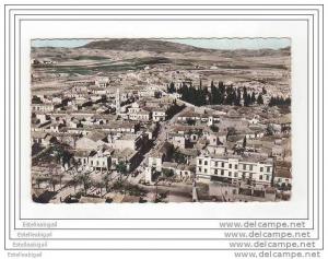 (j)* Setif  [Constantine]   Vue générale du Faubourg *