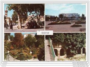 ( algérie )SOUVENIR DE SETIF