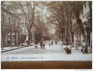 ALGERIE - SETIF - rue de CONSTANTINE - CPA n°56