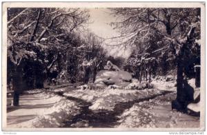 CPA carte postale ancienne AFRIQUE Sétif le jardin d'Orléans neige  carte photo