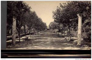 SETIF    1926